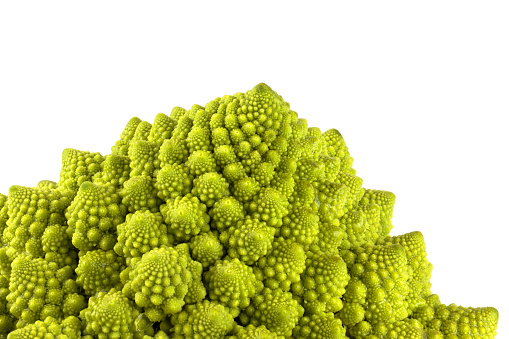 a biological example of Fibonacci spirals and fractals in nature using a Romanesco cauliflower isolated on a white background and with real shadows