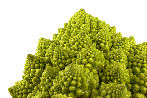 a biological example of Fibonacci spirals and fractals in nature using a Romanesco cauliflower isolated on a white background and with real shadows