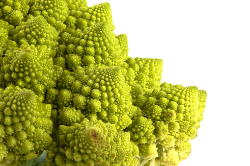 a biological example of Fibonacci spirals and fractals in nature using a Romanesco cauliflower isolated on a white background and with real shadows