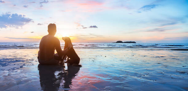 pies i człowiek siedzący razem na plaży o zachodzie słońca, przyjaźń - credo zdjęcia i obrazy z banku zdjęć