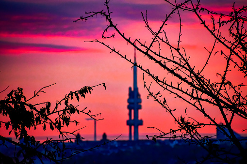 TV tower Prague through the branches of a tree at sunset