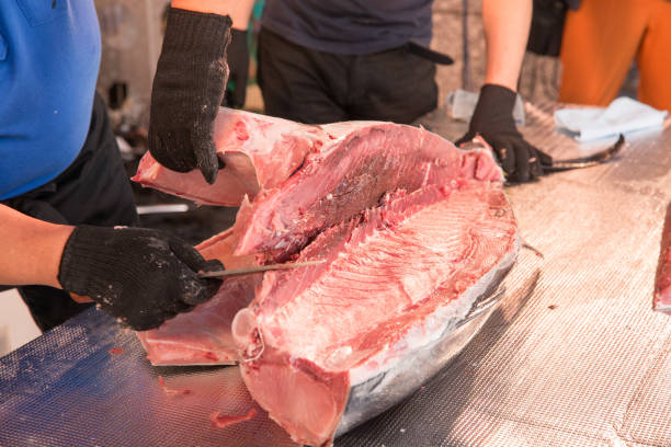 istock Hakata Japan Tuna Demolition Show 2106858333