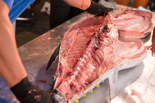 istock Hakata Japan Tuna Demolition Show 2106859430