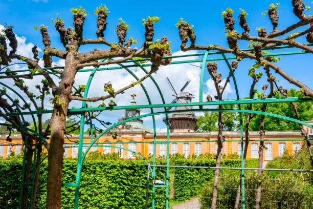 Potsdam, Germany - May 2019: New Chambers (Neue Kammern) palace and Windmill (Windmuhle) in  Sanssouci park