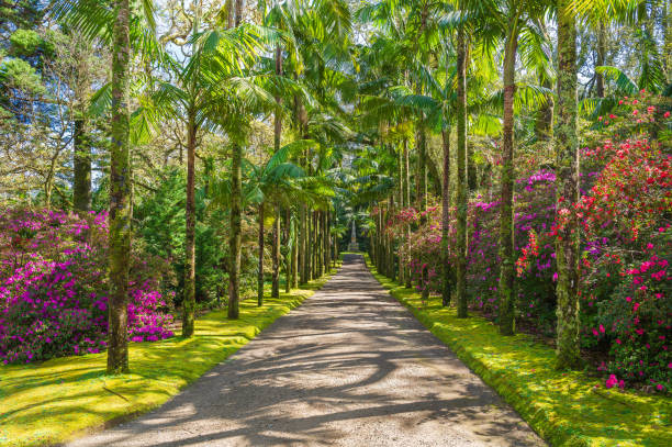 Parque Terra Nostra, Sao Miguel
