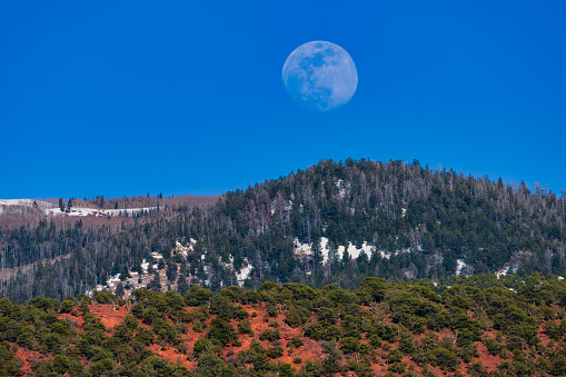 Moonrise Over Mountain Ridge - Scenic view with red rock canyon area leading up to sub alpine snowy mountain ridge with nearly full moon rising in the clear blue sky.