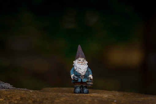 A standing gnome doll