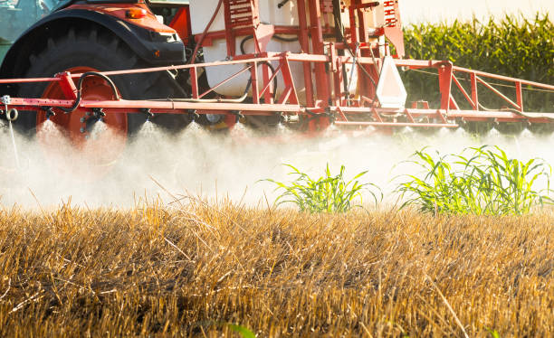 istock Farmer spraying onto his field before plowing. 2106956688