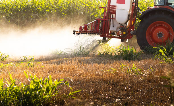 istock Farmer spraying onto his field before plowing. 2106956690