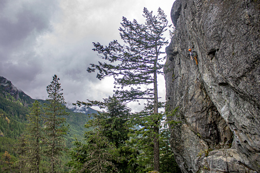 Climber ascends steep cliff in forest, Whistler, BC