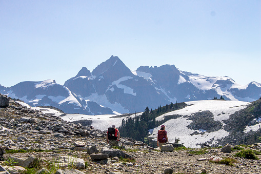 Backpackers hike in alpine meadow below snowcapped mountains