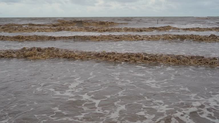 Natural view with sea wave on sand beach.