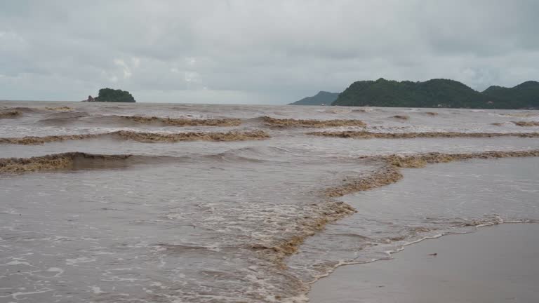 Natural view with sea wave on sand beach.