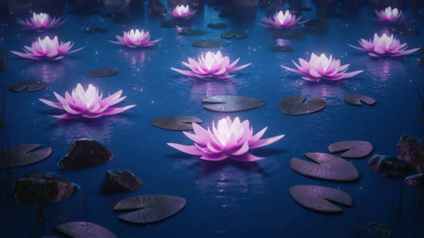 istock 3d render Lotus flowers on a magical night on the water 2107073313
