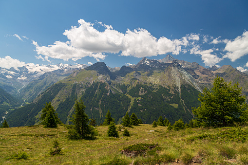 The beautiful valley in front of the Gran Paradiso in a summer day