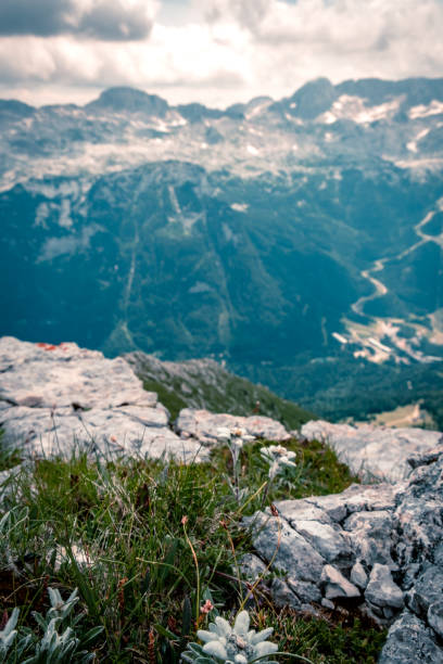 istock The majestic Julian Alps 2107081685