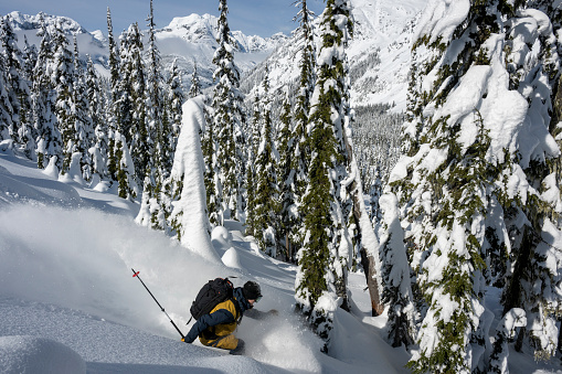 Backcountry skier descends slope through fresh snow in forest