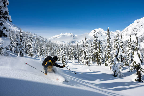 istock Backcountry skier descends slope through forest 2107096061