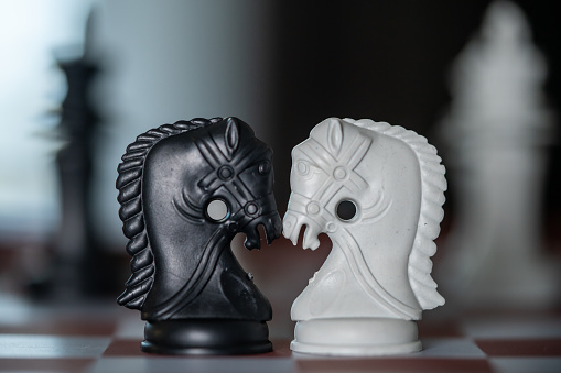 black and white chess horses are foreground focus on foreground concept of choice still