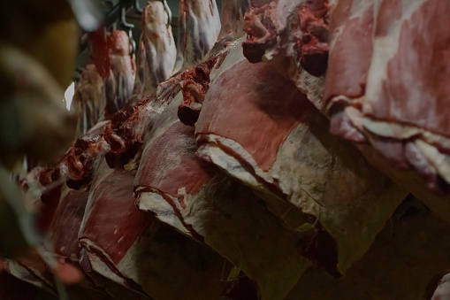 Pork hams hanging on a rack. Meat factory.