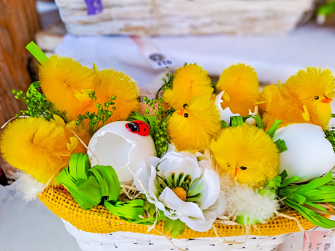 Yellow Chickens in a basket, decoration for Easter. The minimal concept. An Easter card with a copy of the place for the text. High quality photo