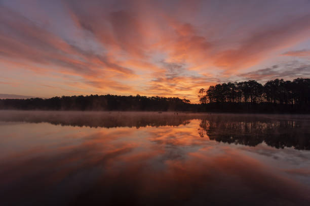 Photo taken at Bear Lake, Blackwater River state forest in NW Florida, using Nikon D750 with AF-S NIKKOR 24-70mm F2.8G ED