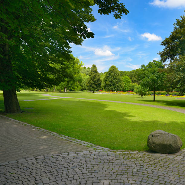 istock Summer park with green meadow 2107240893
