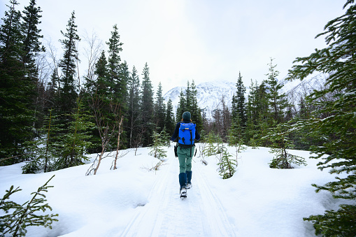 A woman takes a winter hike down a trail through pine trees in the Eagle River Nature Center area on the Dew Mound Trail.