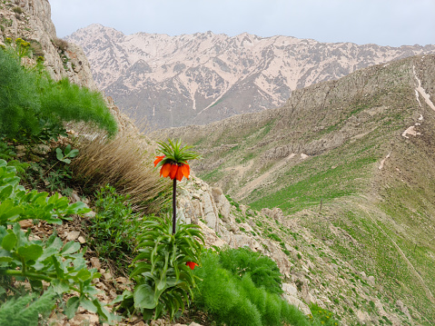 Hawraman Takht (Uraman Takht) - Kurdistan Iran