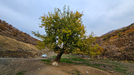 Kurdistan province - Iran