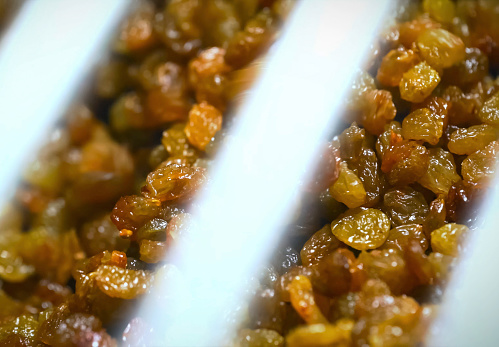 Raisins on an ice cream production conveyor. Raisins are a component of ice cream