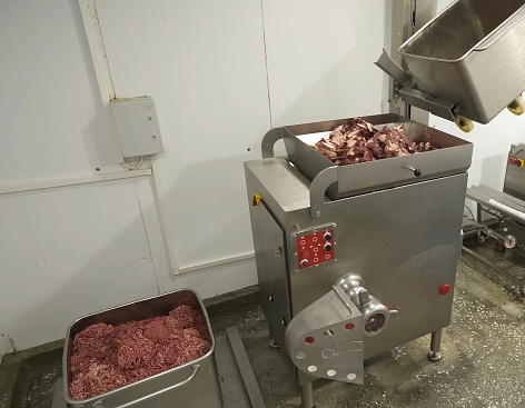 grinding meat in an industrial meat grinder. Auger meat grinder and meat.