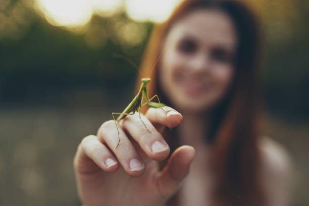 romantic woman with praying mantis on her hand outdoors in the meadow. High quality photo