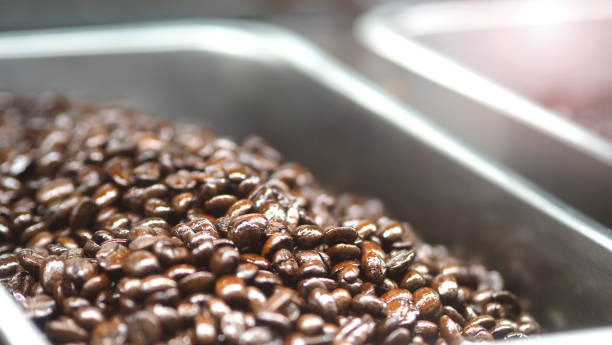 istock Many coffee beans from excellent source around the World in silver metal tray which special hand made roasted for barista bring a good aroma taste of freshness to their customer. 2107335782