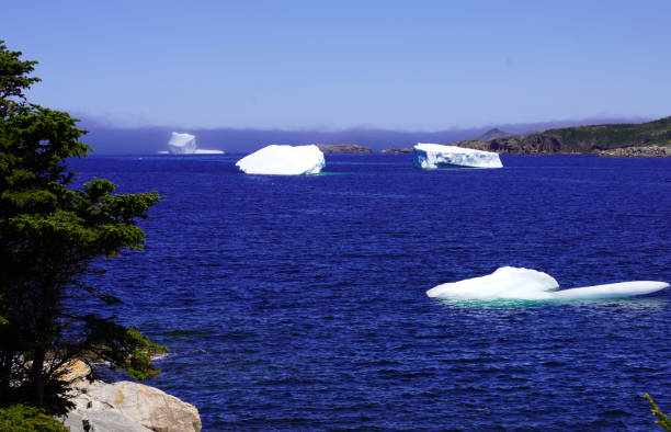 istock Small icebergs floating near the shore 2107352514