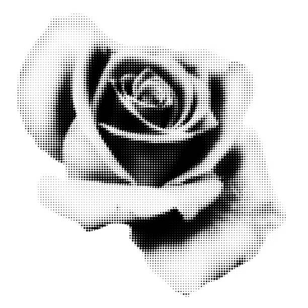 Rose halftone collage element vector illustration isolated Beautiful rose halftone collage element. Vintage punk dotted flower, retro modern floral design. Vector illustration isolated on transparent background weird spot stock illustrations