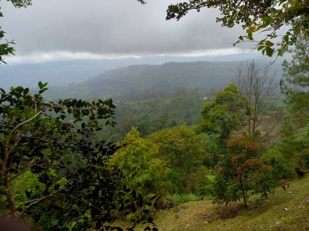 istock Beauty of Nature 2107359435
