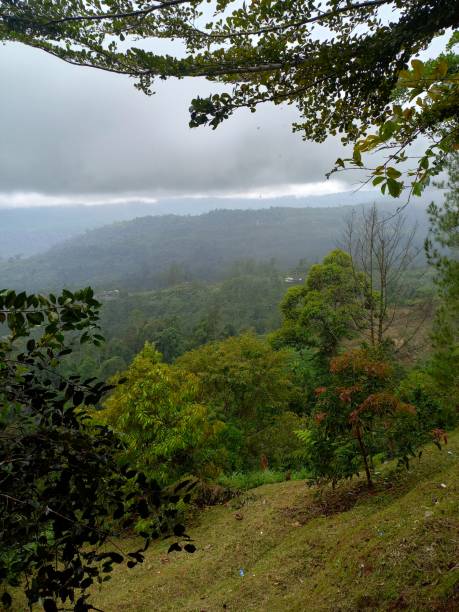 istock Beauty of Nature 2107359438