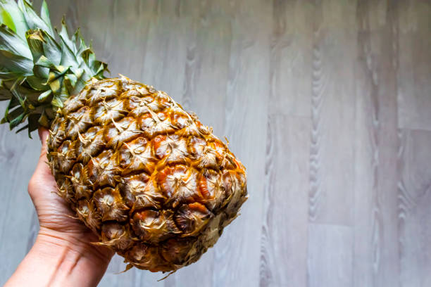 Woman's hand holding ripe pineapple on gray background