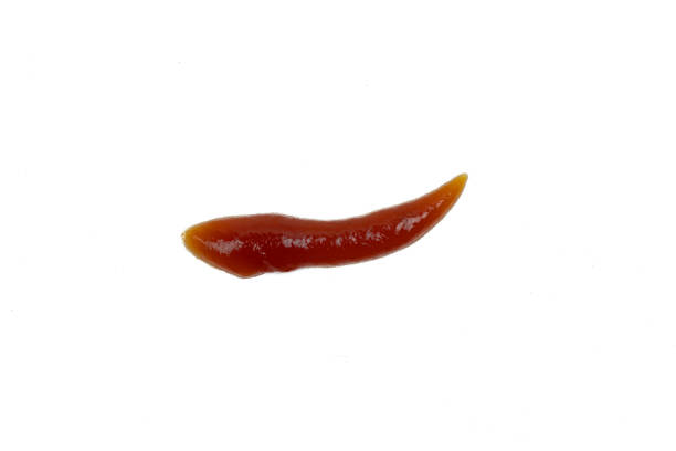 istock tomato sauce ketchup isolated on white background 2107388353