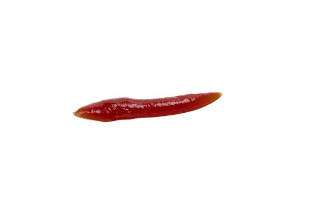 istock tomato sauce ketchup isolated on white background 2107388364