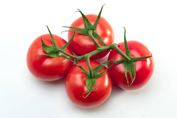 Red ripe tomatoes on a bush in the open ground. Growing vegetables in the garden.