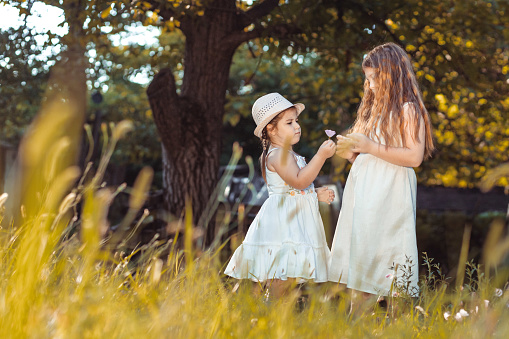 Two little girls, sisters in white dresses picking flowers in the nature