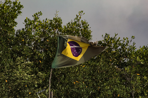 The flag of Brazil waving in the wind