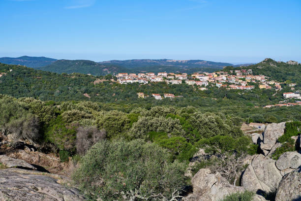 istock Mountain Village in Sardinia 2107430181