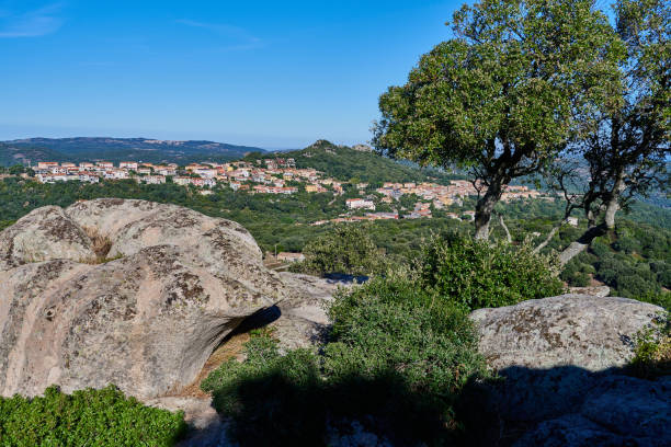 Aerial view of Luogosanto, a mountain village in Province of Sassari. Sardinia. Italy.