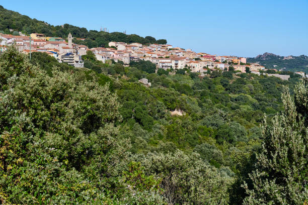 istock Mountain Village in Sardinia 2107440098