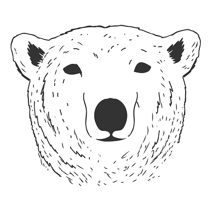 Retro Vintage Hand Drawn Sketch of Ice Polar Grizzly Bear Head Face Icon Illustration Vector