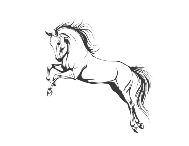 Vector illustration of Sketch of a playing horse, black lines, vector graphic icon animal