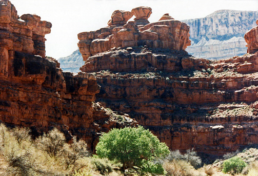 Irregular sandstone walls of Kanab Creek in the national wilderness north of Grand Canyon National Park.